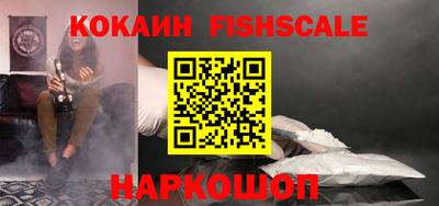 гашик Будённовск