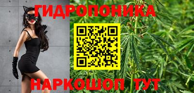 молекула духа Бузулук