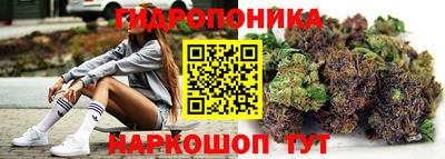 гашик Будённовск