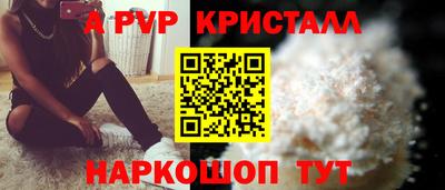 гашик Будённовск