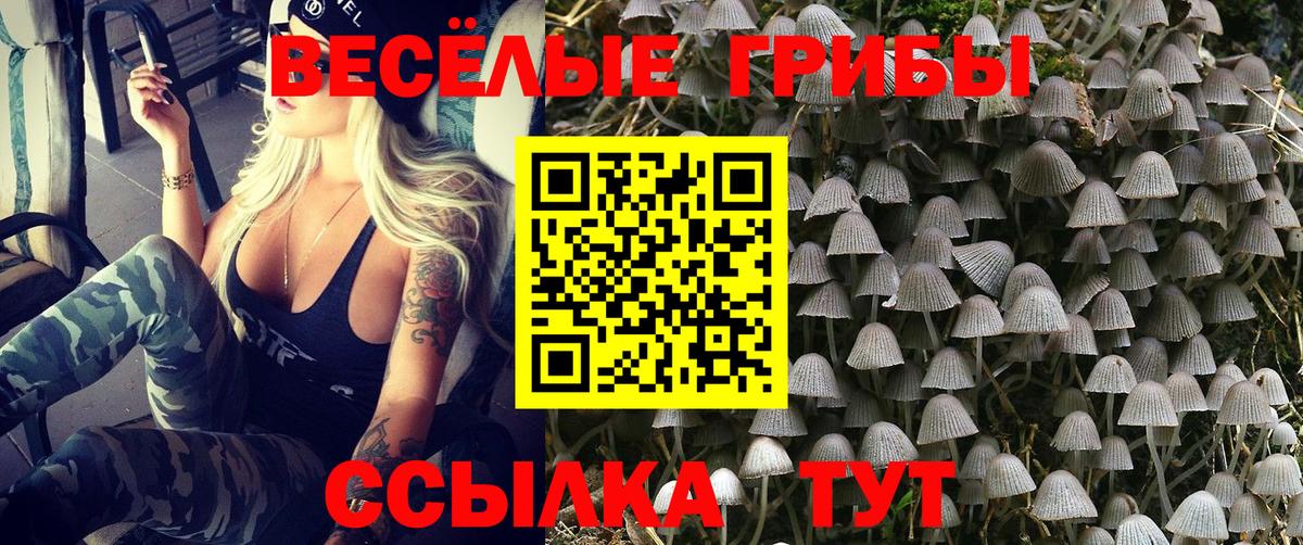 Галлюциногенные грибы мухоморы Рыбинск