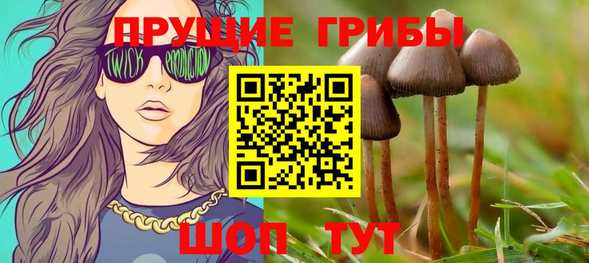 Рыбинск  Галлюциногенные грибы ЛСД  Вход с VPN 
